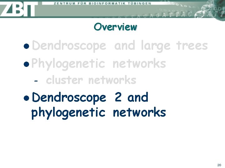 Overview l Dendroscope and large trees l Phylogenetic networks – cluster networks l Dendroscope