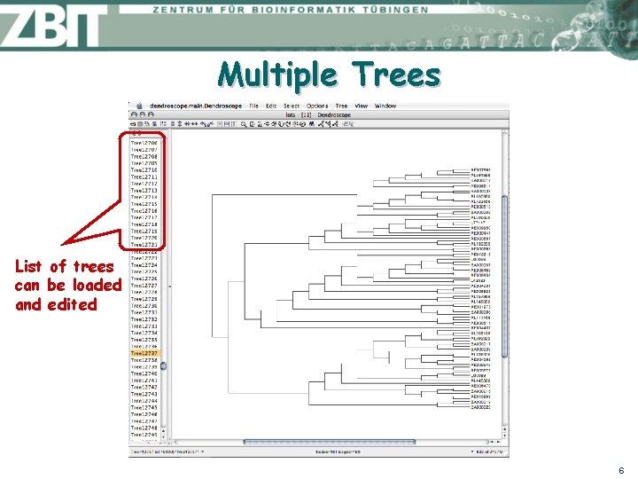 Multiple Trees List of trees can be loaded and edited 6 