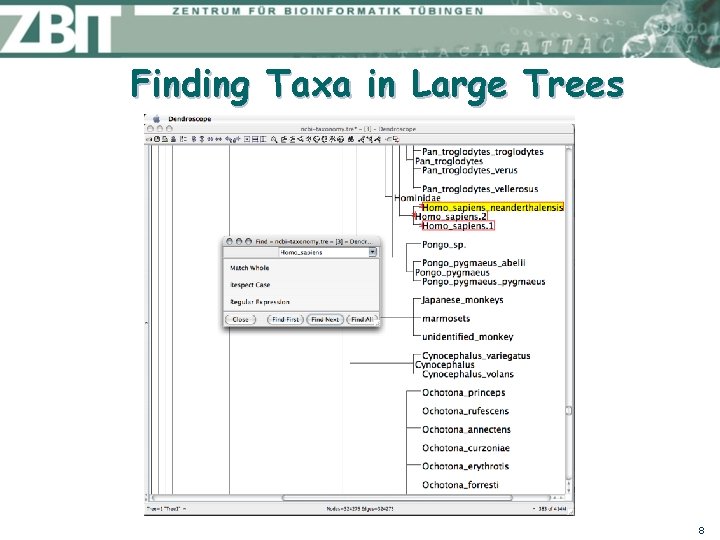 Finding Taxa in Large Trees 8 