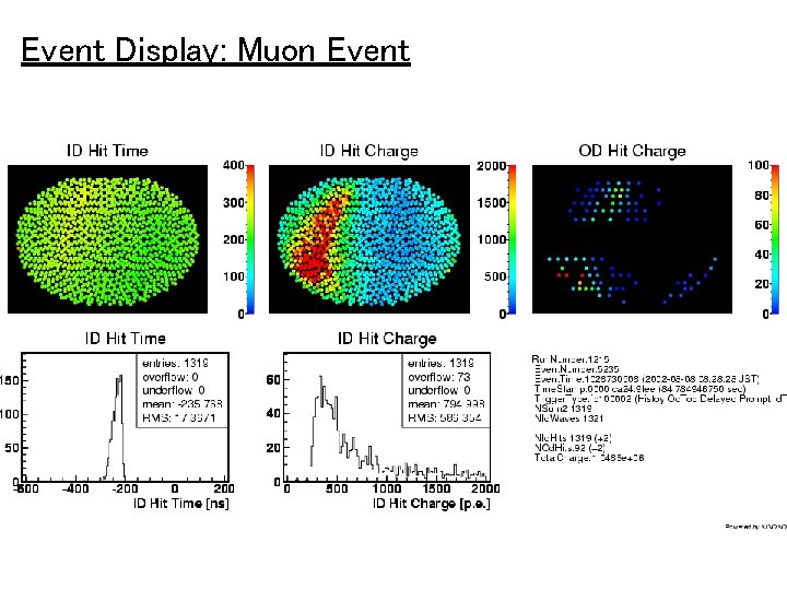 Event Display: Muon Event 