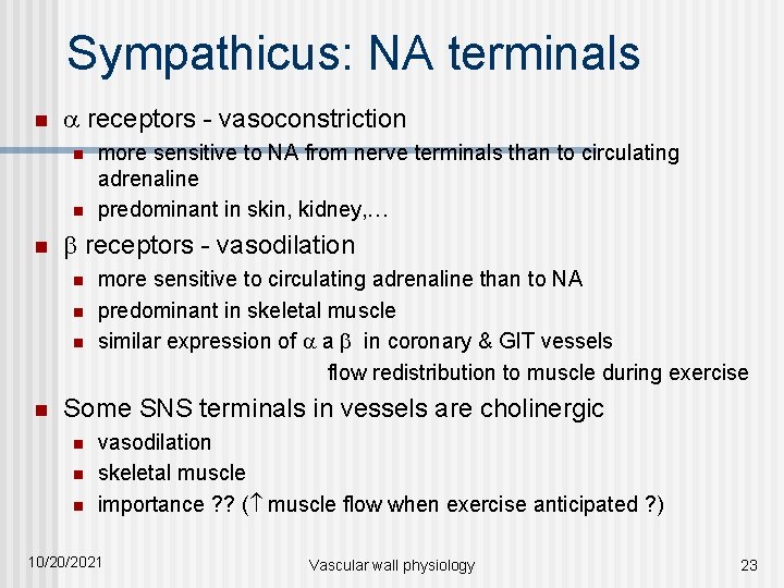 Sympathicus: NA terminals n receptors - vasoconstriction n receptors - vasodilation n n more