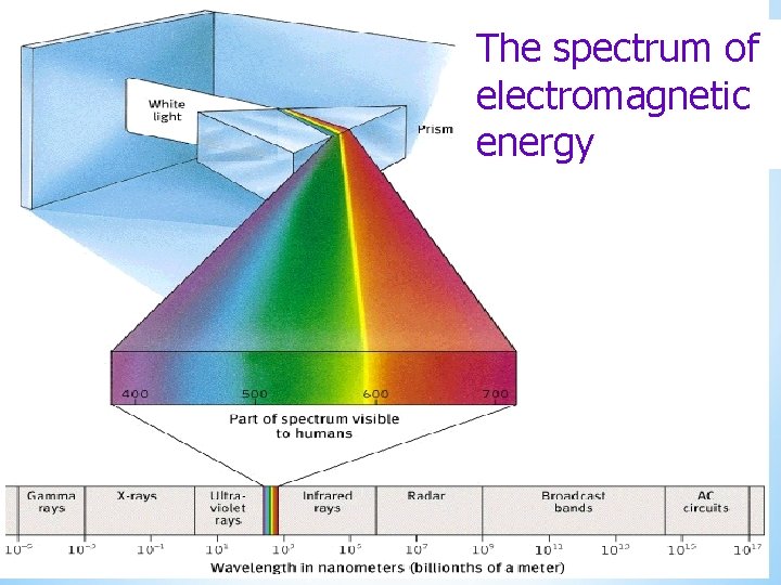 The spectrum of electromagnetic energy 