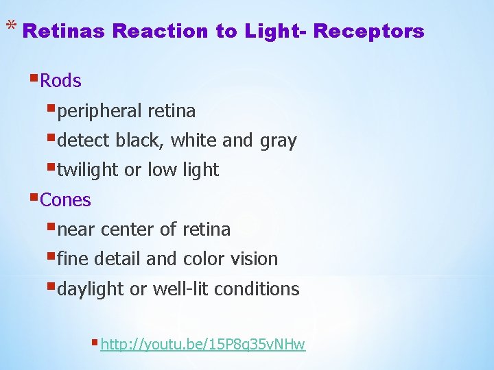 * Retinas Reaction to Light- Receptors §Rods §peripheral retina §detect black, white and gray