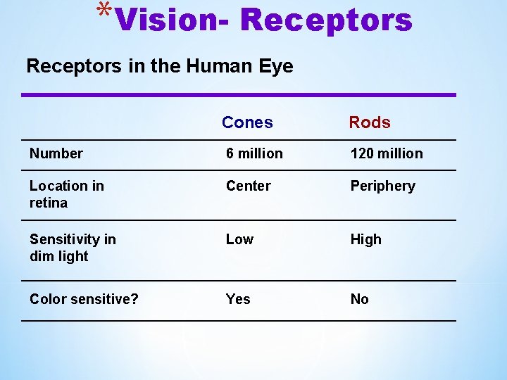 *Vision- Receptors in the Human Eye Cones Rods Number 6 million 120 million Location