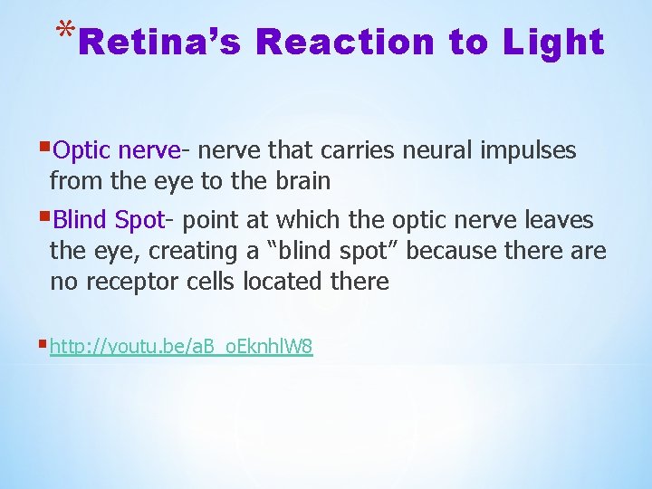 *Retina’s Reaction to Light §Optic nerve- nerve that carries neural impulses from the eye