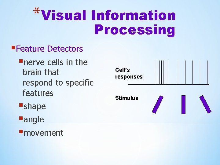 *Visual Information Processing §Feature Detectors §nerve cells in the brain that respond to specific