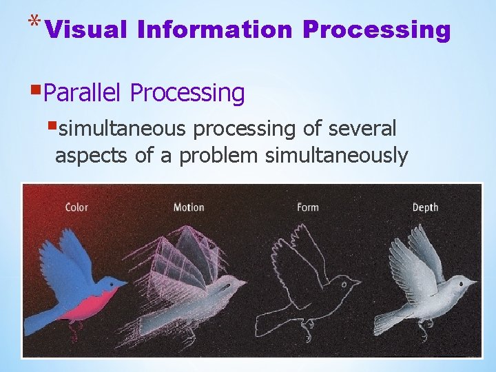 * Visual Information Processing §Parallel Processing §simultaneous processing of several aspects of a problem