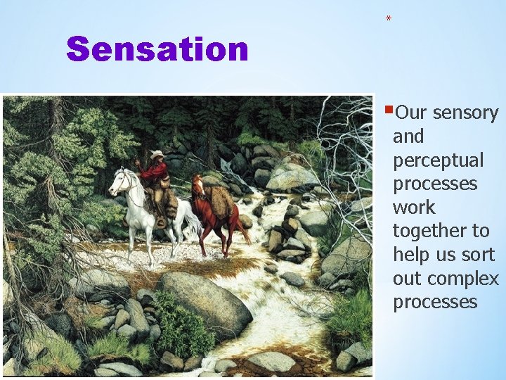 Sensation * §Our sensory and perceptual processes work together to help us sort out