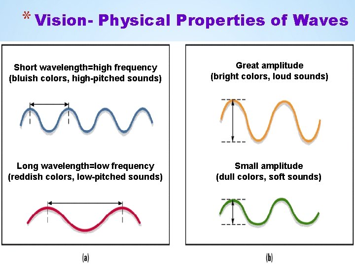 * Vision- Physical Properties of Waves Short wavelength=high frequency (bluish colors, high-pitched sounds) Great