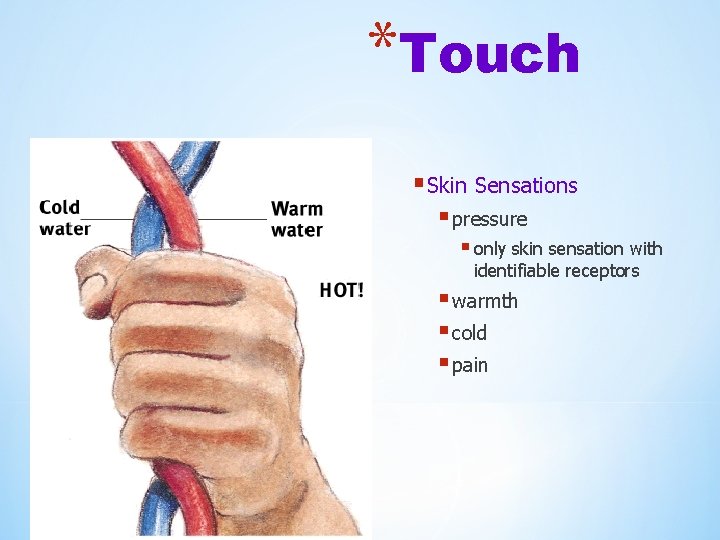 *Touch § Skin Sensations § pressure § only skin sensation with identifiable receptors §