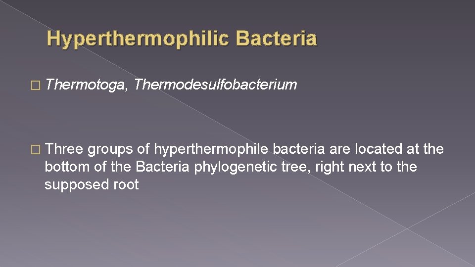 Hyperthermophilic Bacteria � Thermotoga, � Three Thermodesulfobacterium groups of hyperthermophile bacteria are located at