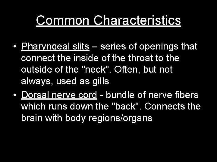 Common Characteristics • Pharyngeal slits – series of openings that connect the inside of