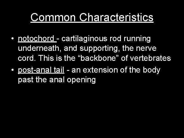 Common Characteristics • notochord - cartilaginous rod running underneath, and supporting, the nerve cord.