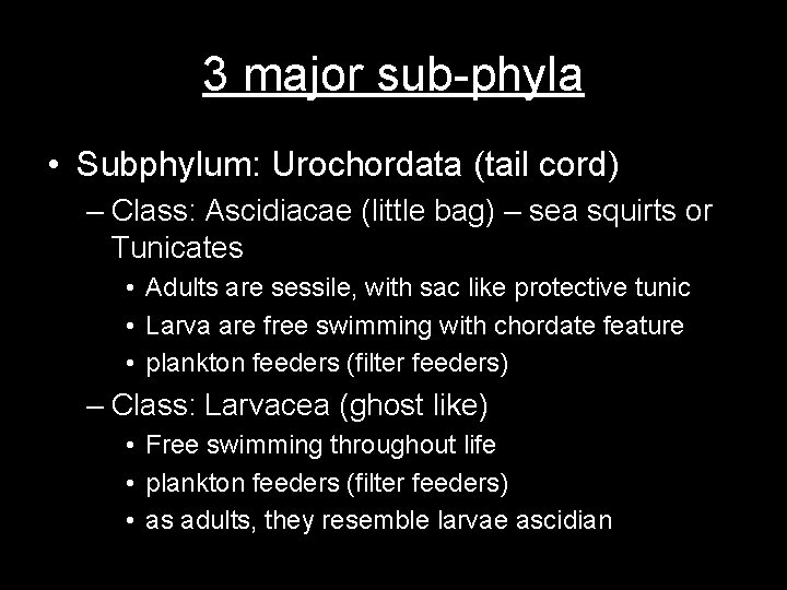 3 major sub-phyla • Subphylum: Urochordata (tail cord) – Class: Ascidiacae (little bag) –