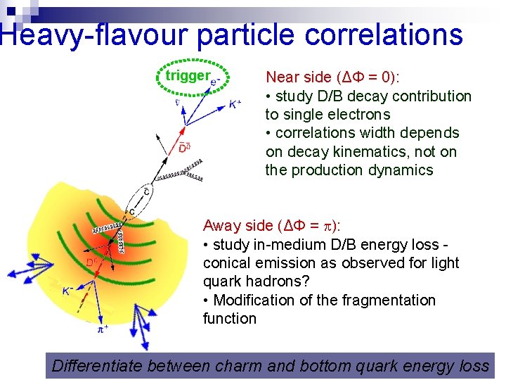 Heavy-flavour particle correlations trigger Near side (ΔΦ = 0): • study D/B decay contribution