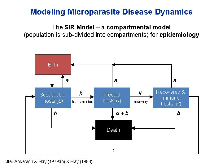 Modeling Microparasite Disease Dynamics The SIR Model – a compartmental model (population is sub-divided