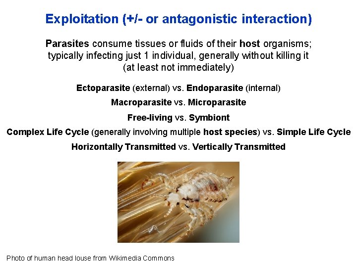 Exploitation (+/- or antagonistic interaction) Parasites consume tissues or fluids of their host organisms;