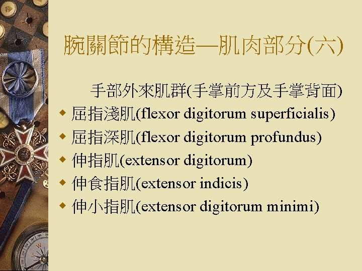 腕關節的構造—肌肉部分(六) 手部外來肌群(手掌前方及手掌背面) w 屈指淺肌(flexor digitorum superficialis) w 屈指深肌(flexor digitorum profundus) w 伸指肌(extensor digitorum) w