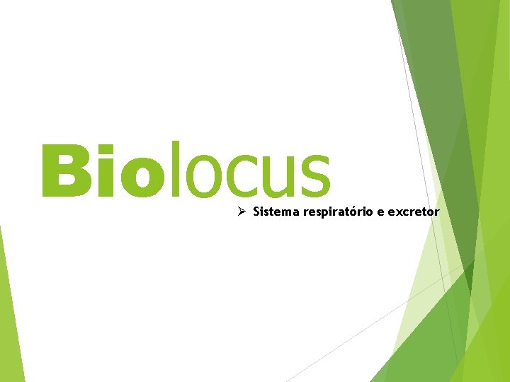 Biolocus Ø Sistema respiratório e excretor 