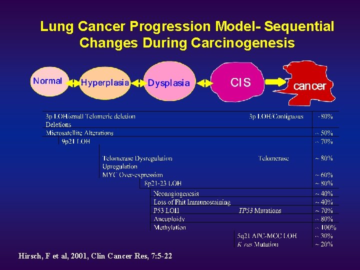 Lung Cancer Progression Model- Sequential Changes During Carcinogenesis Hirsch, F et al, 2001, Clin