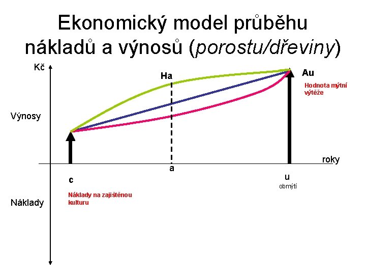 Ekonomický model průběhu nákladů a výnosů (porostu/dřeviny) Kč Au Ha Hodnota mýtní výtěže Výnosy