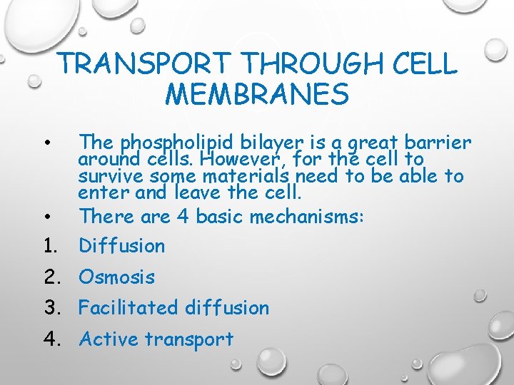 TRANSPORT THROUGH CELL MEMBRANES • • 1. The phospholipid bilayer is a great barrier