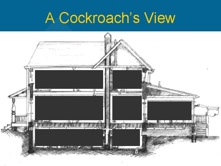 A Cockroach’s View 19 