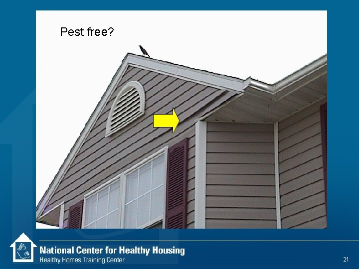 Pest free? 21 