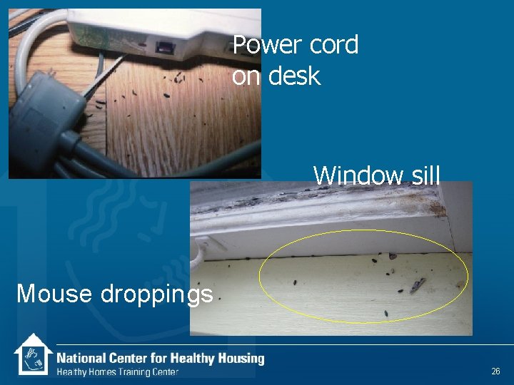 Power cord on desk Window sill Mouse droppings 26 
