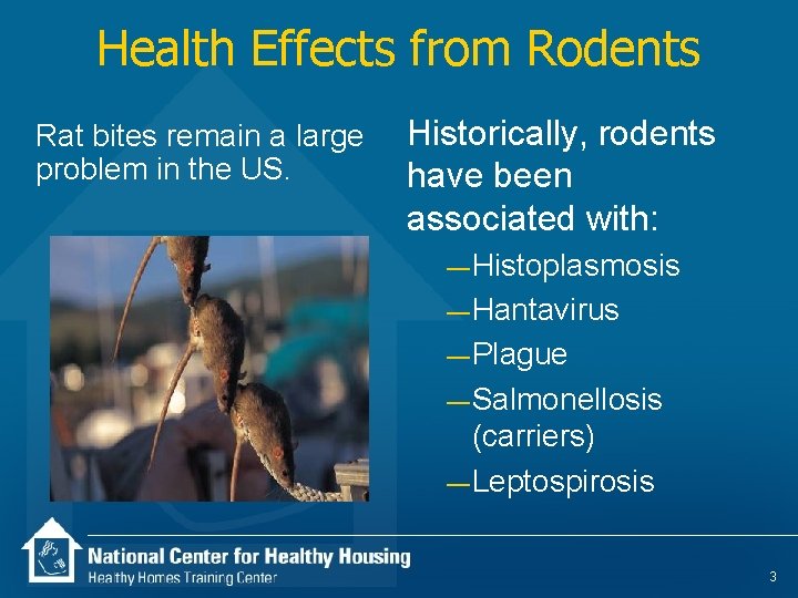 Health Effects from Rodents Rat bites remain a large problem in the US. Historically,