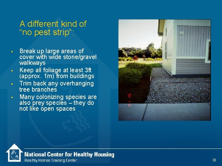 A different kind of “no pest strip”: § § Break up large areas of