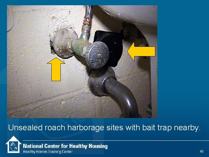 Unsealed roach harborage sites with bait trap nearby. 49 