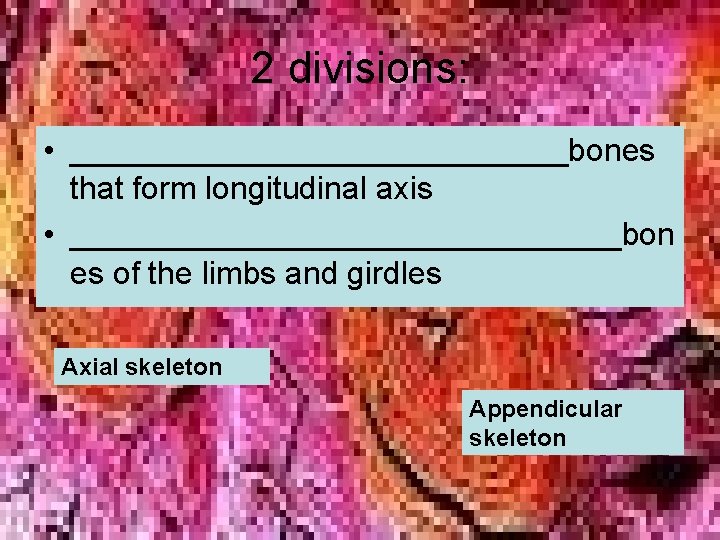2 divisions: • ______________bones that form longitudinal axis • ________________bon es of the limbs