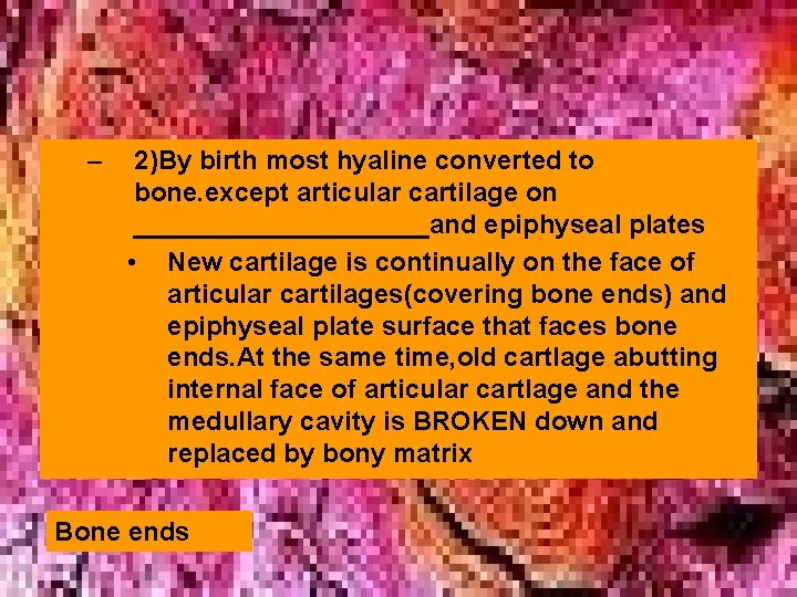 – 2)By birth most hyaline converted to bone. except articular cartilage on __________and epiphyseal