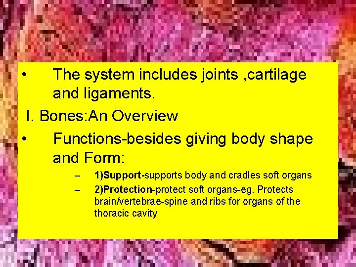  • The system includes joints , cartilage and ligaments. I. Bones: An Overview