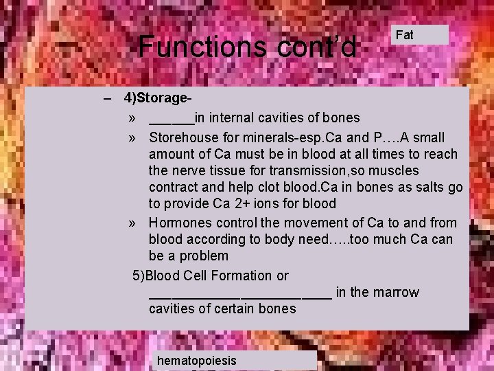 Functions cont’d Fat – 4)Storage» ______in internal cavities of bones » Storehouse for minerals-esp.