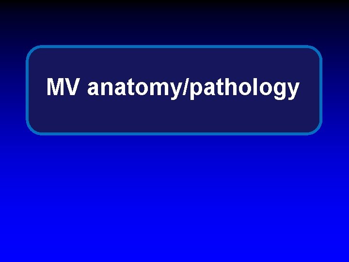 MV anatomy/pathology 