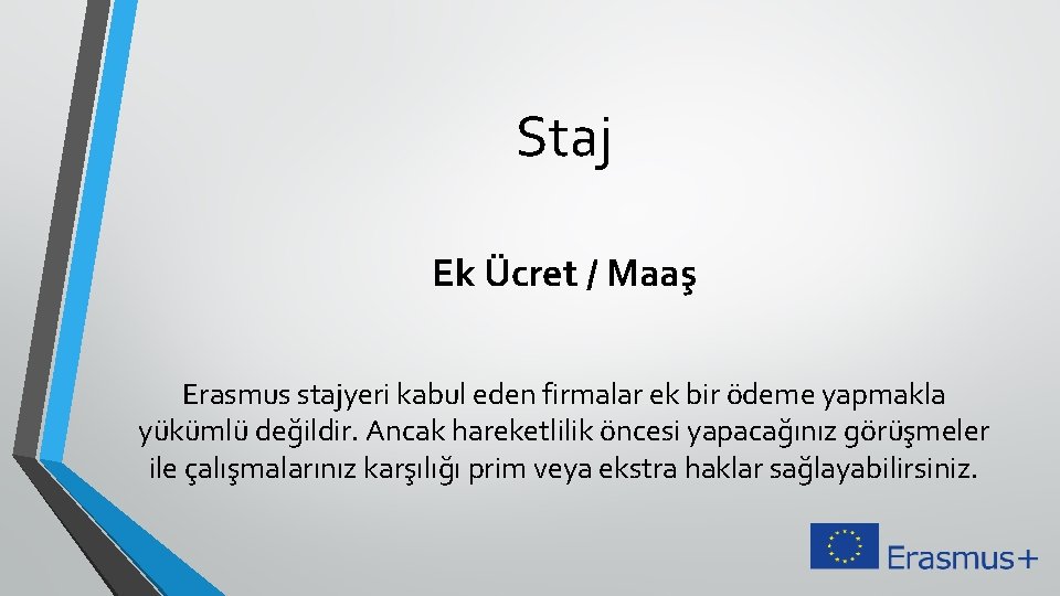 Staj Ek Ücret / Maaş Erasmus stajyeri kabul eden firmalar ek bir ödeme yapmakla