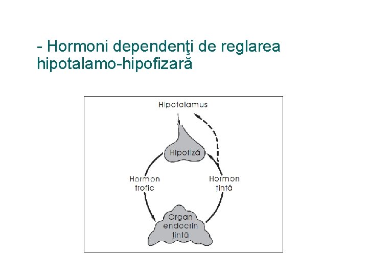- Hormoni dependenţi de reglarea hipotalamo-hipofizară 
