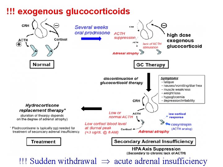 !!! exogenous glucocorticoids !!! Sudden withdrawal acute adrenal insufficiency 