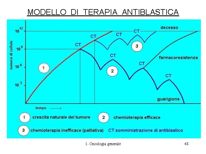 MODELLO DI TERAPIA ANTIBLASTICA 1 - Oncologia generale 48 