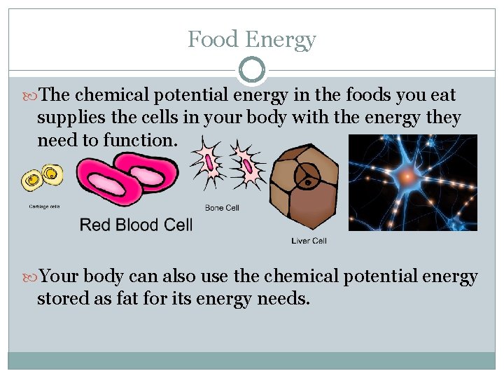 Food Energy The chemical potential energy in the foods you eat supplies the cells Food Energy The chemical potential energy in the foods you eat supplies the cells