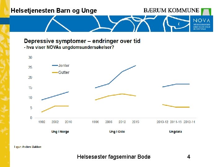 Helsetjenesten Barn og Unge Helsesøster fagseminar Bodø 4 