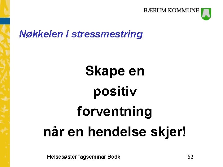 Nøkkelen i stressmestring Skape en positiv forventning når en hendelse skjer! Helsesøster fagseminar Bodø