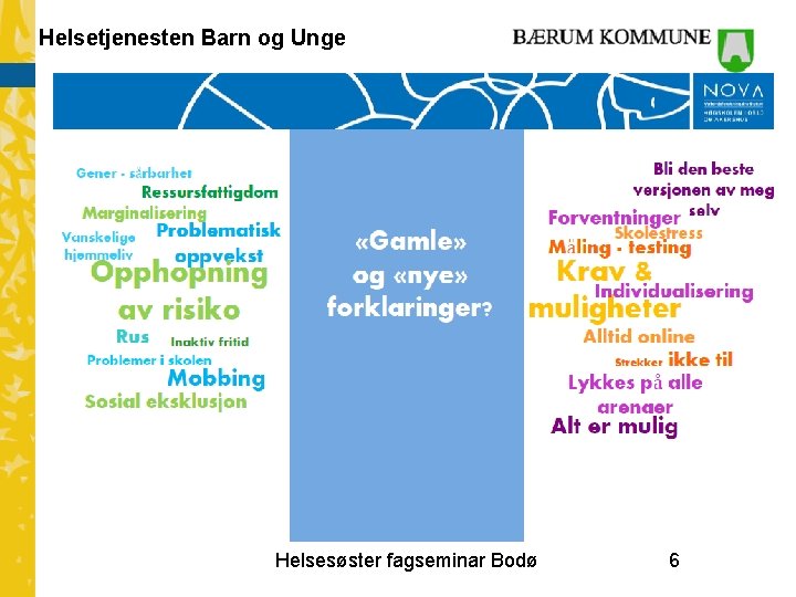 Helsetjenesten Barn og Unge Helsesøster fagseminar Bodø 6 