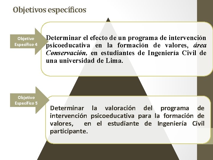 Objetivos específicos Objetivo Específico 4 Objetivo Específico 5 Determinar el efecto de un programa