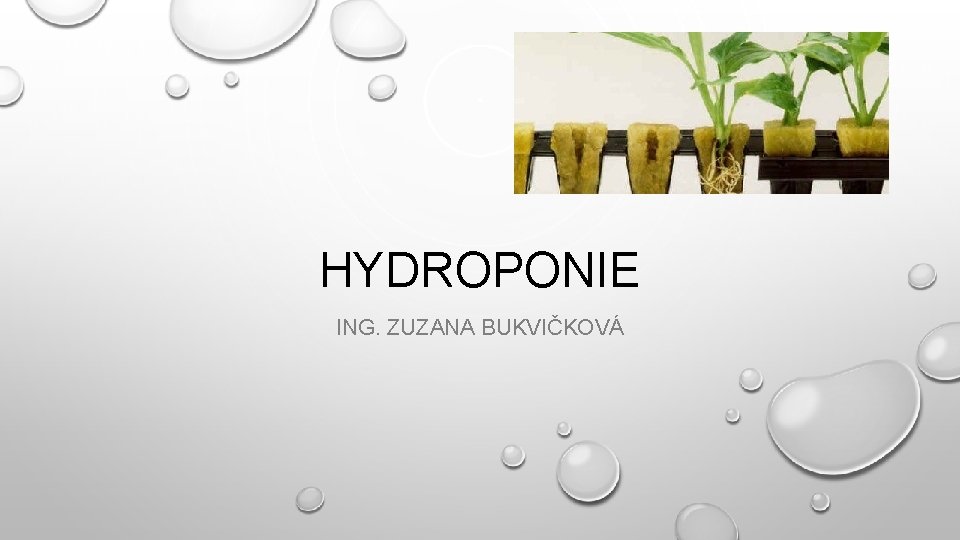 HYDROPONIE ING. ZUZANA BUKVIČKOVÁ 