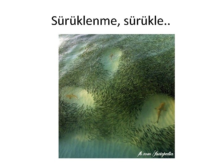 Sürüklenme, sürükle. . 