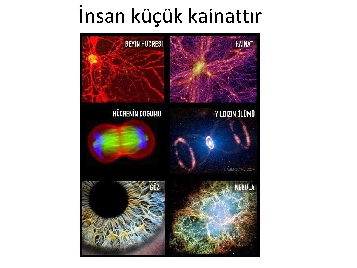 İnsan küçük kainattır 