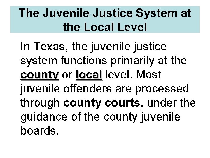 The Juvenile Justice System at the Local Level In Texas, the juvenile justice system